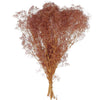 Flores de Baby Breath Mini Preservadas